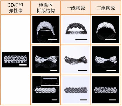 ƌW(xu)״ΌF(xin)մ4Dӡ