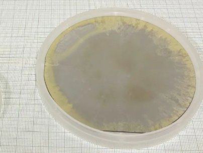 Crystal ISa׿4Ӣ絪XrMI